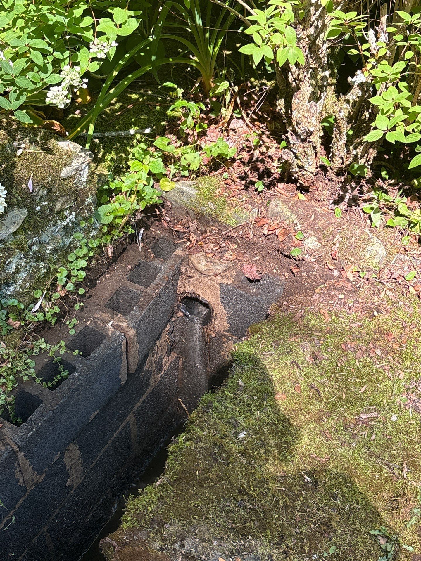 Slow Drains