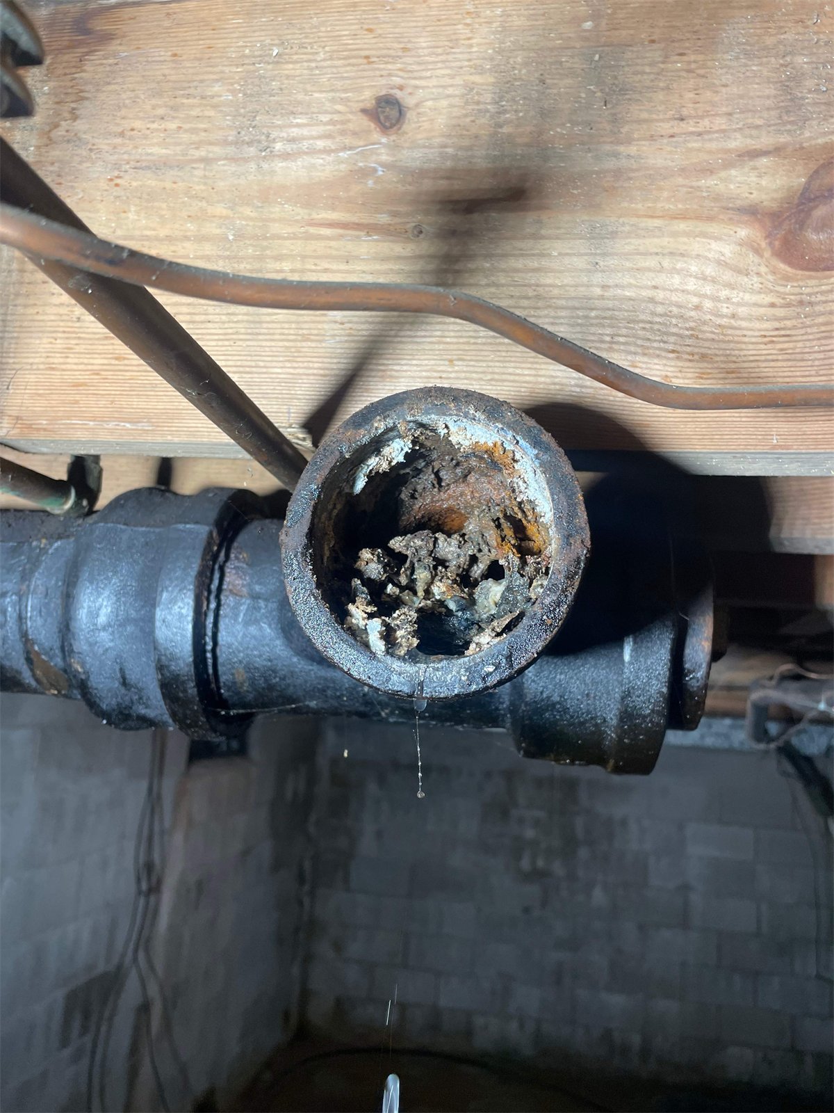 Clogged Sewer Line