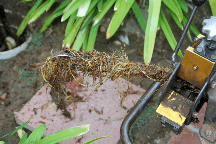 What Is Sewer Line Snaking and How Does It Work?